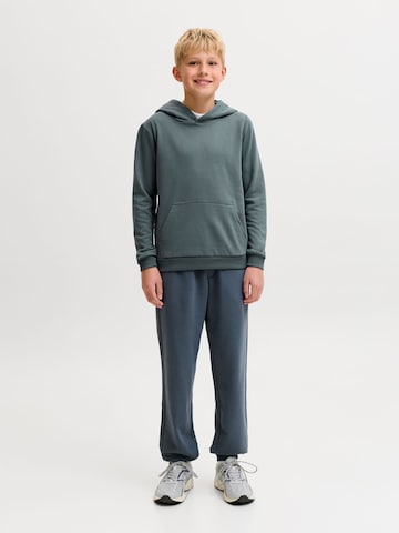 Sweat 'JJEBradley' Jack & Jones Junior en gris