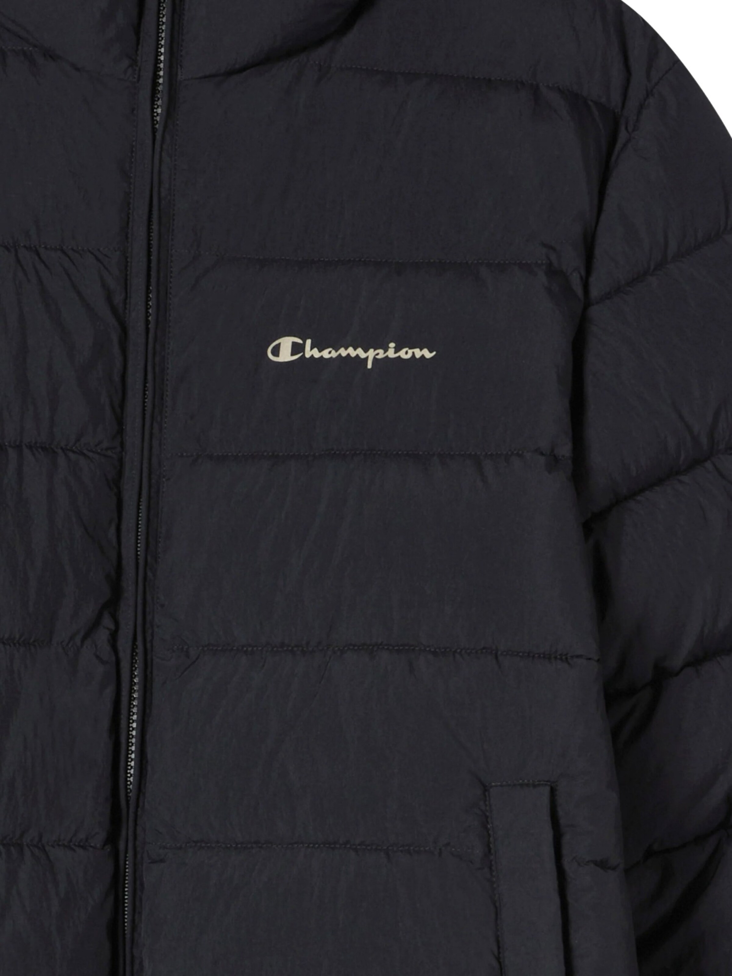 Champion Authentic Athletic Apparel Winter jacket in Black