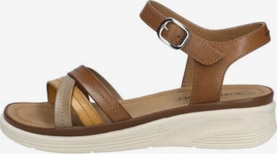JOSEF SEIBEL Sandale 'SEVRAN 02' in 36 in braun, Produktansicht