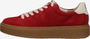 Paul Green Sneakers laag in Rood