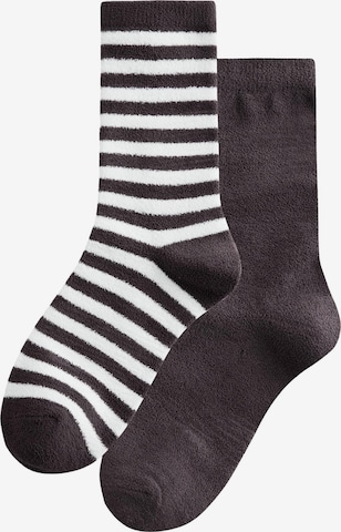 Next Socks in Brown: front
