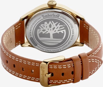 TIMBERLAND Analog Watch in Gold