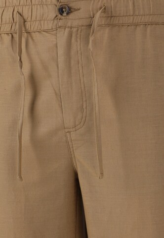 Cruz Regular Pants 'Reagan' in Brown