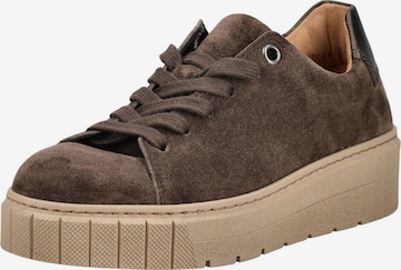 GABOR Sneaker in Braun: Vorderseite