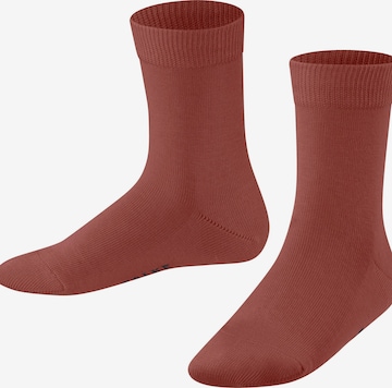 FALKE Socks 'Family' in Red: front
