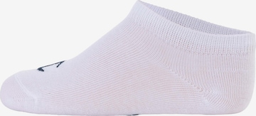 Champion Authentic Athletic Apparel Socks in White