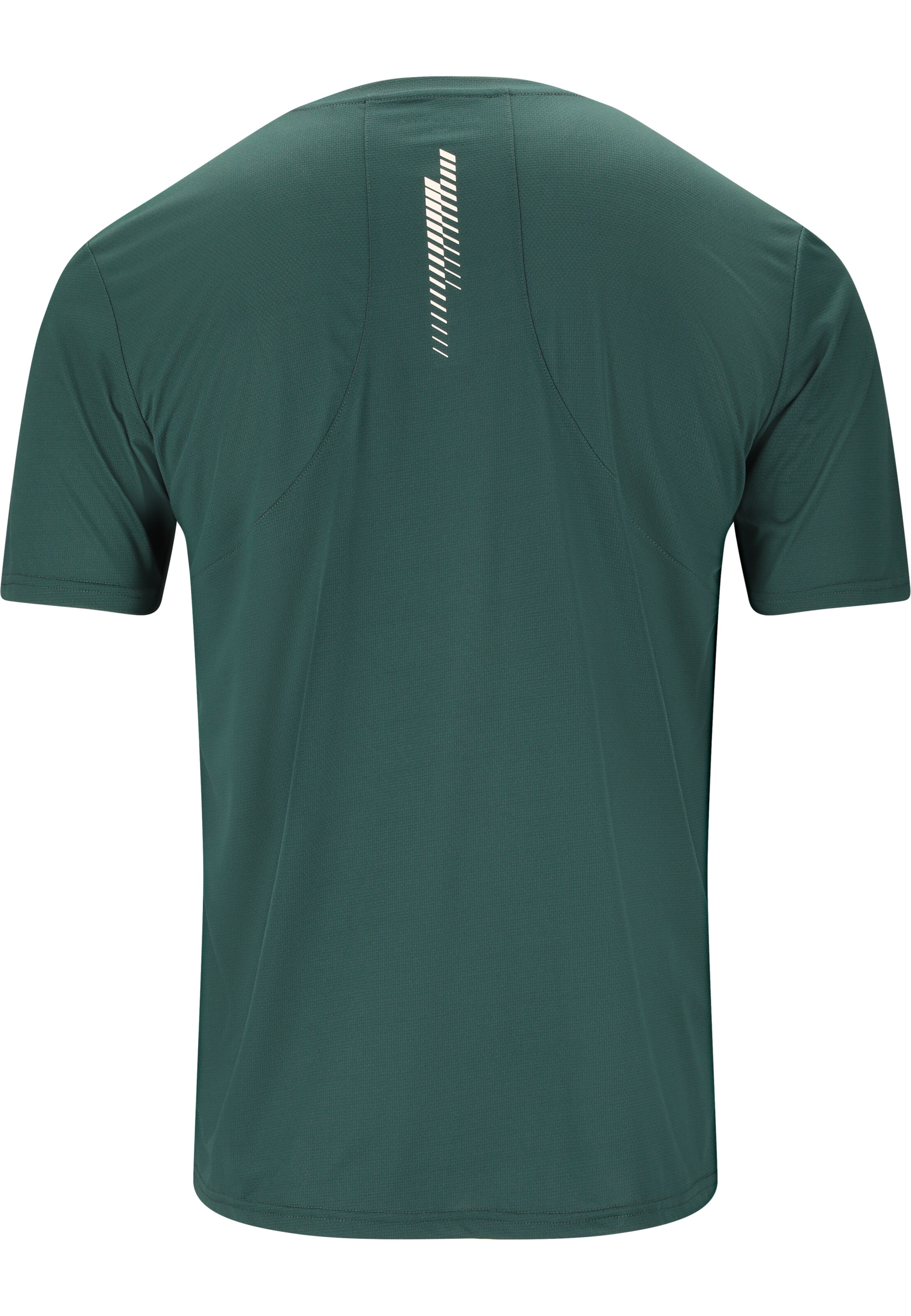 ENDURANCE Functioneel shirt 'Alan' in Groen
