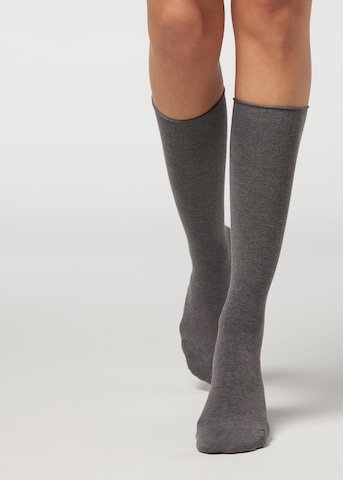 CALZEDONIA Socken in Grau: predná strana