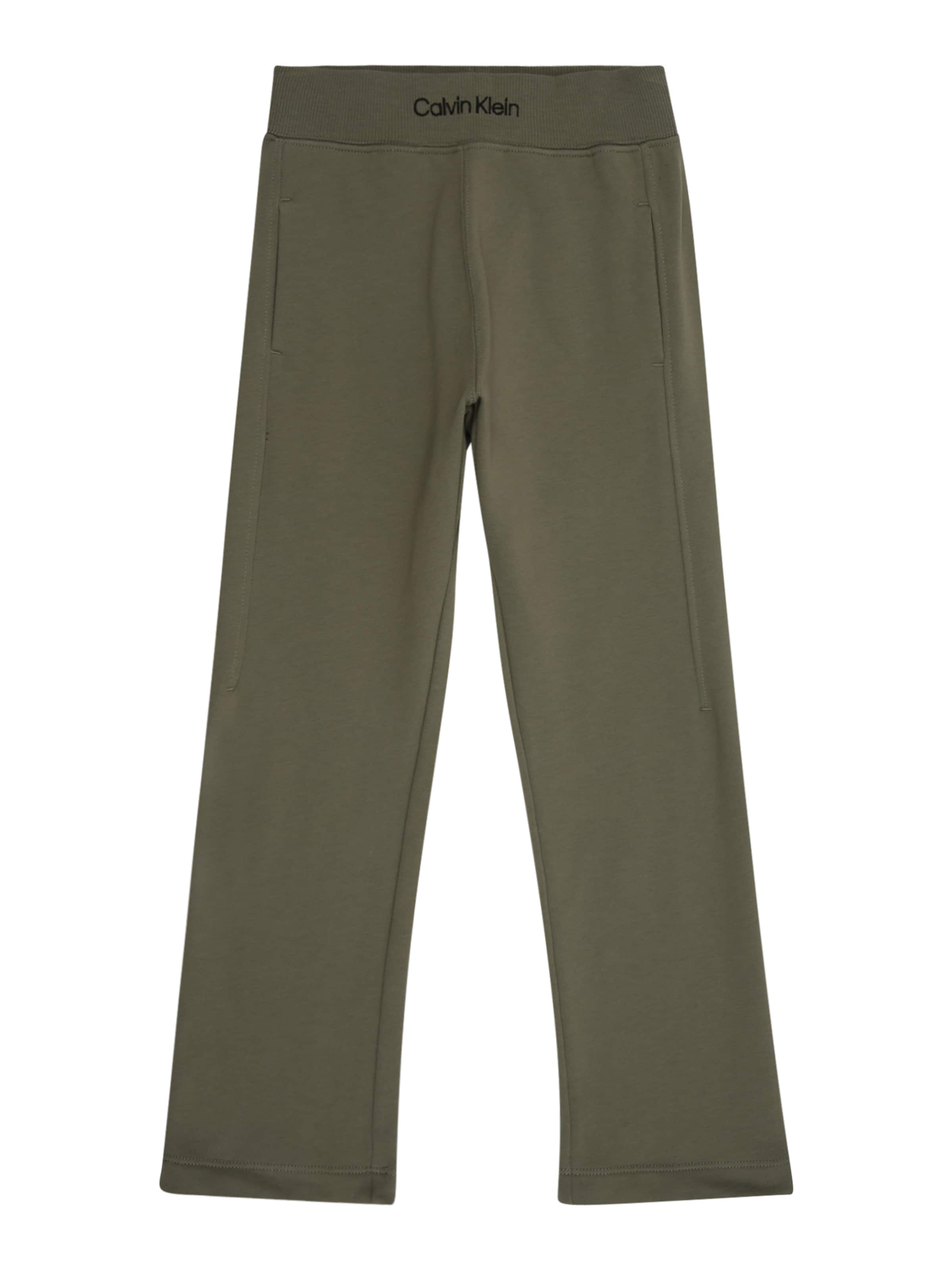 Calvin Klein Jeans Normální Kalhoty – zelená: přední strana