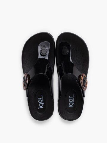 IGOR - Sandalias de dedo en negro