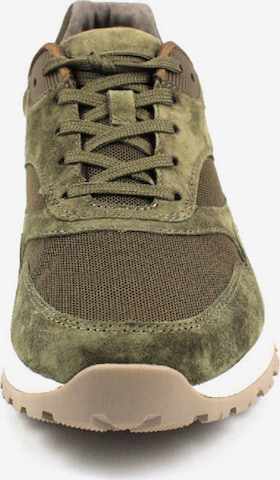 Pius Gabor Sneakers in Green