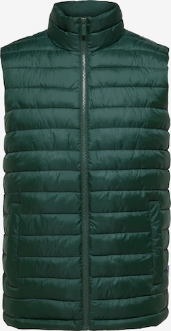 SELECTED HOMME Vest 'TANG' in Green: front