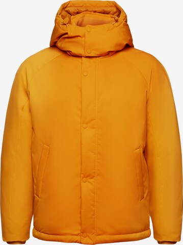 Veste d’hiver ESPRIT en orange : devant