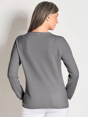 Goldner Sweater in Grey