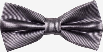 ROY ROBSON Bow Tie in Silver: front