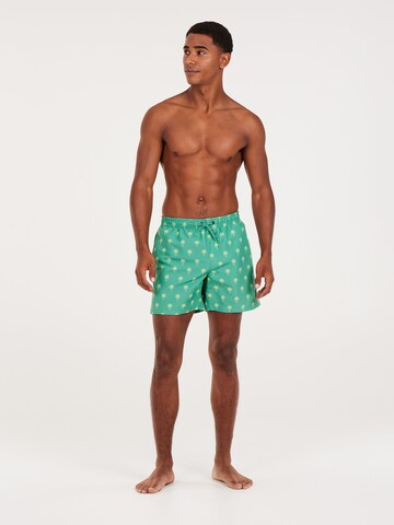 PROTEST Badeshorts 'PRTALVIS'‌‌‌‌‌‌‌‌ in Grün