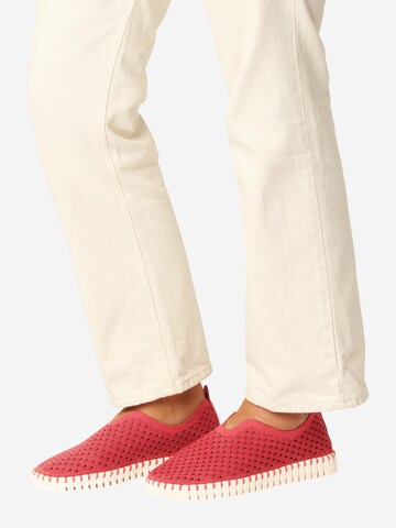 ILSE JACOBSEN Slip On 'Tulip3275' i rød
