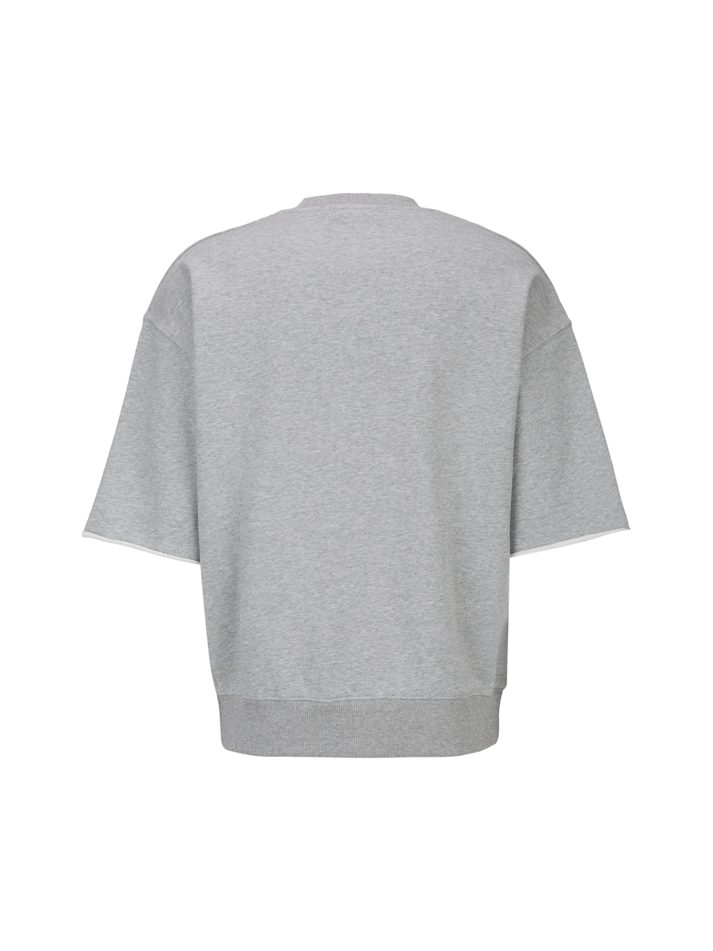19V69 ITALIA - Sudadera 'Verdi College' en gris