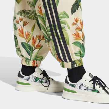 ADIDAS SPORTSWEAR Tapered Παντελόνι φόρμας 'Adidas x FARM Rio' σε μπεζ