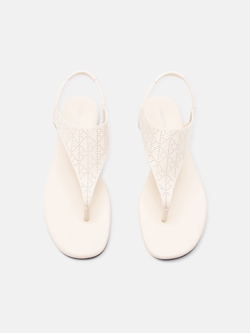 Calvin Klein Σαγιονάρες διχαλωτές σε μπεζ