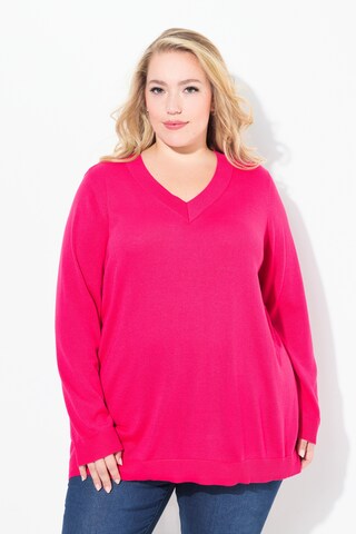 Ulla Popken Trui in Roze