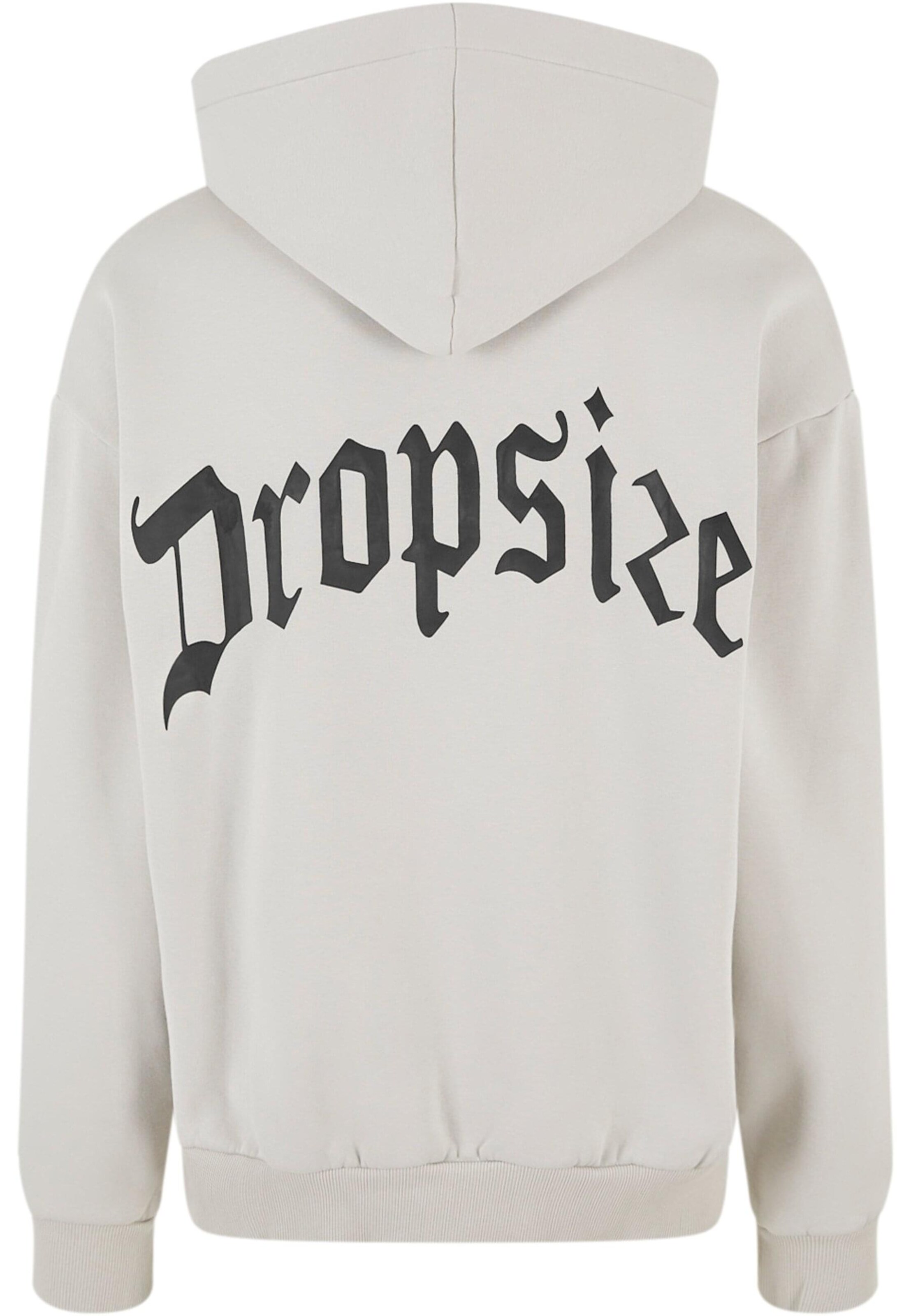 Dropsize Sweatshirt in Grau