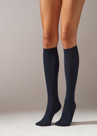 CALZEDONIA Knee High Socks in Blue: front