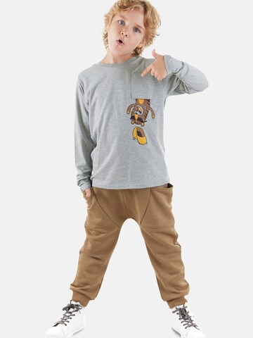 Denokids Tracksuit 'Pocket Tiger' in Grey: front