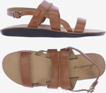 Deerberg Sandals & High-Heeled Sandals in 41 in Brown: front