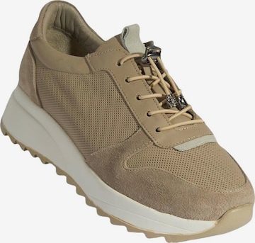 Desa Sneakers 'Trainer' in Brown: front