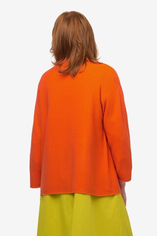 Ulla Popken Knit Cardigan in Orange