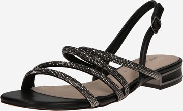 TATA Italia Sandals in Black: front