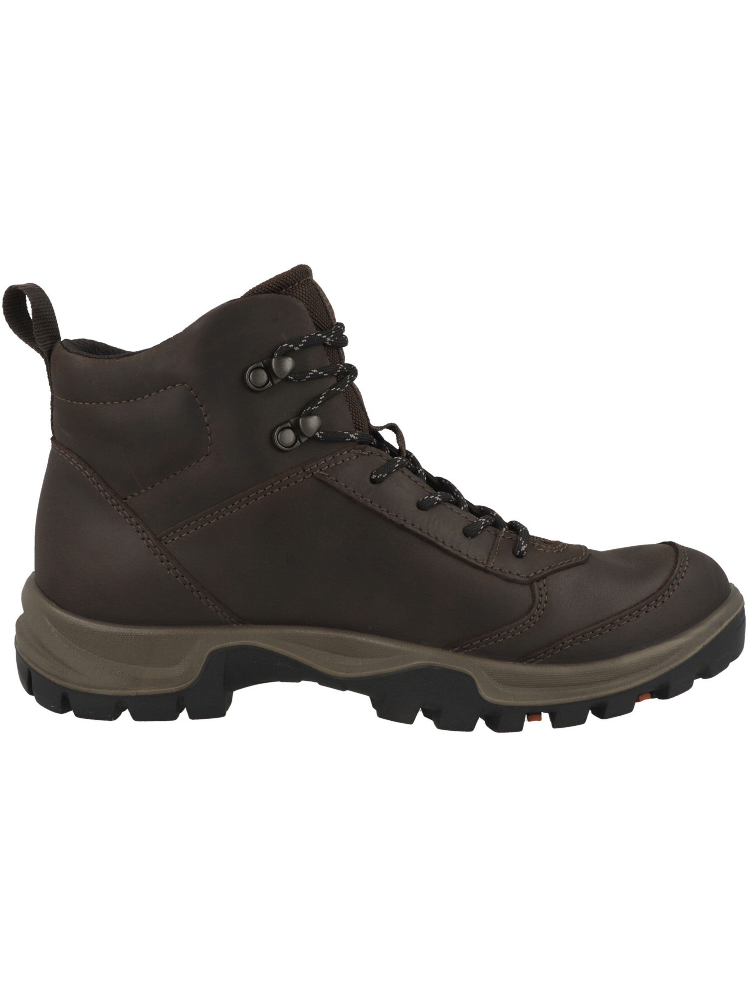 ECCO Boots 'Xpedition III' in Brown