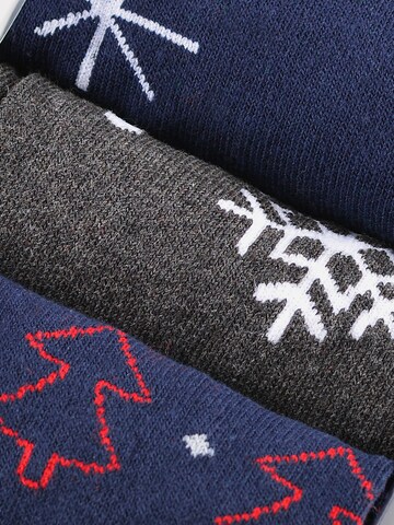 Lee Cooper Sokken in Gemengde kleuren