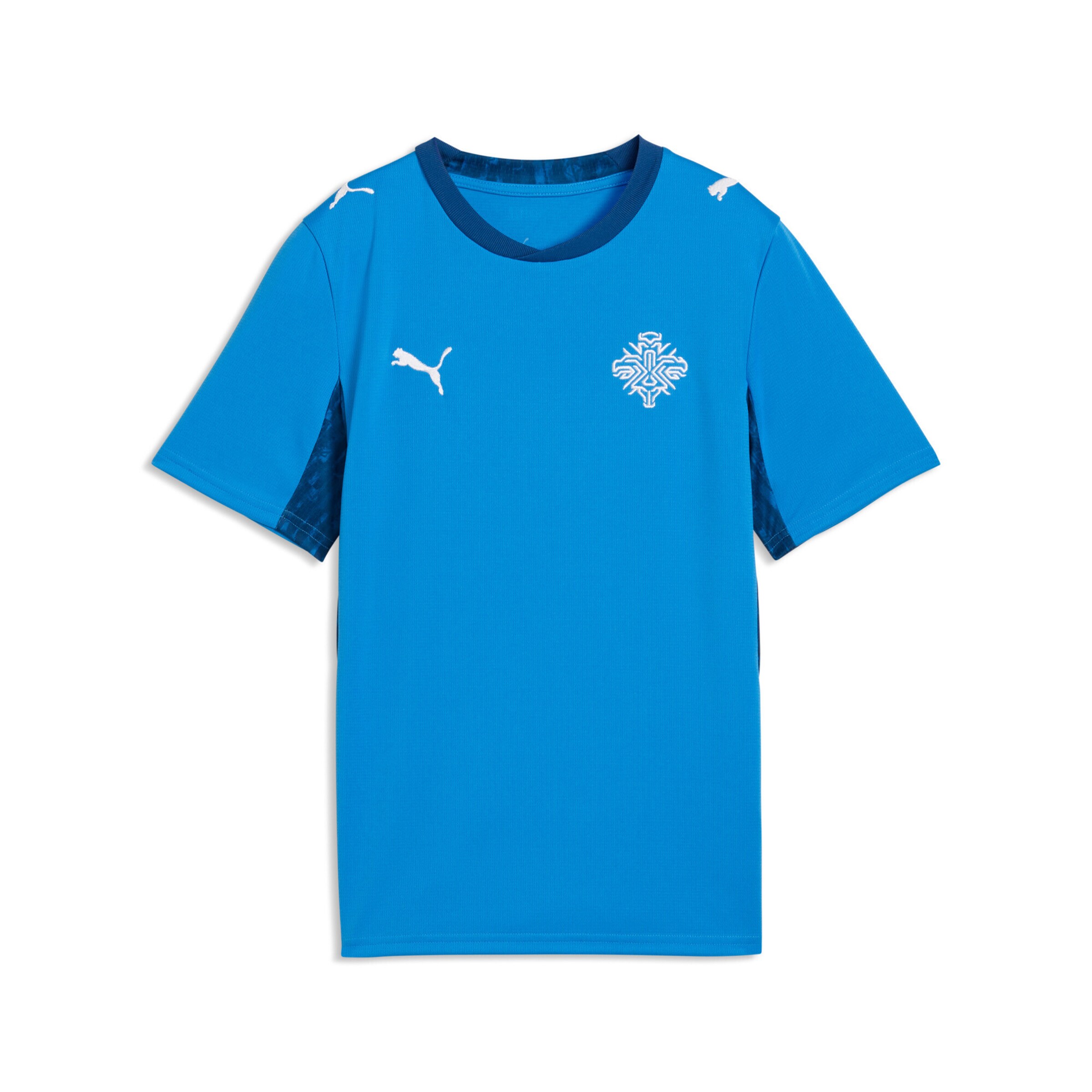 T-Shirt fonctionnel PUMA en bleu : devant