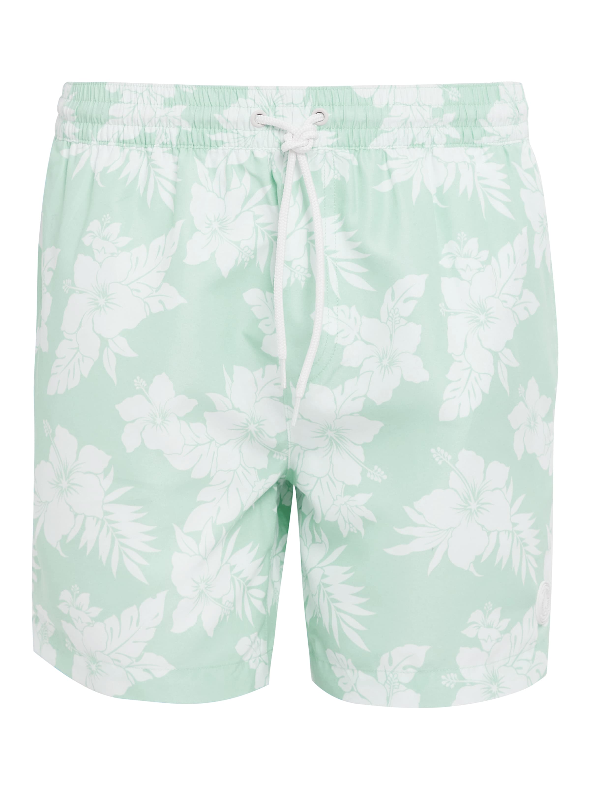 Threadbare Badeshorts 'Sunset' in Grün: Vorderseite