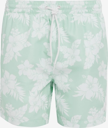 Threadbare Board Shorts 'Sunset' in Green: front