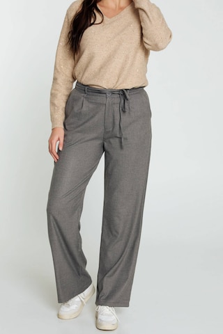 Cassis Loose fit Pleat-Front Pants in Grey