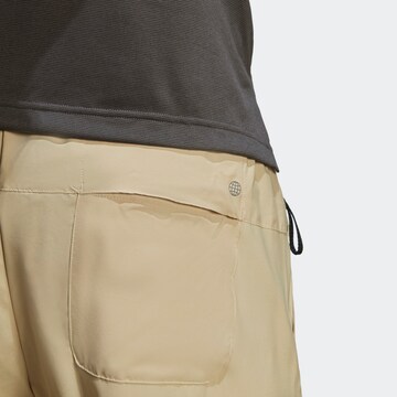 Regular Pantalon outdoor 'Lifeflex' ADIDAS TERREX en beige