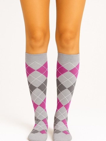 Lycille Knee High Socks in Grey: front