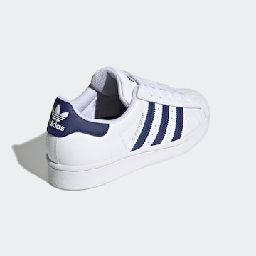 Sneaker 'Superstar' di ADIDAS ORIGINALS in bianco