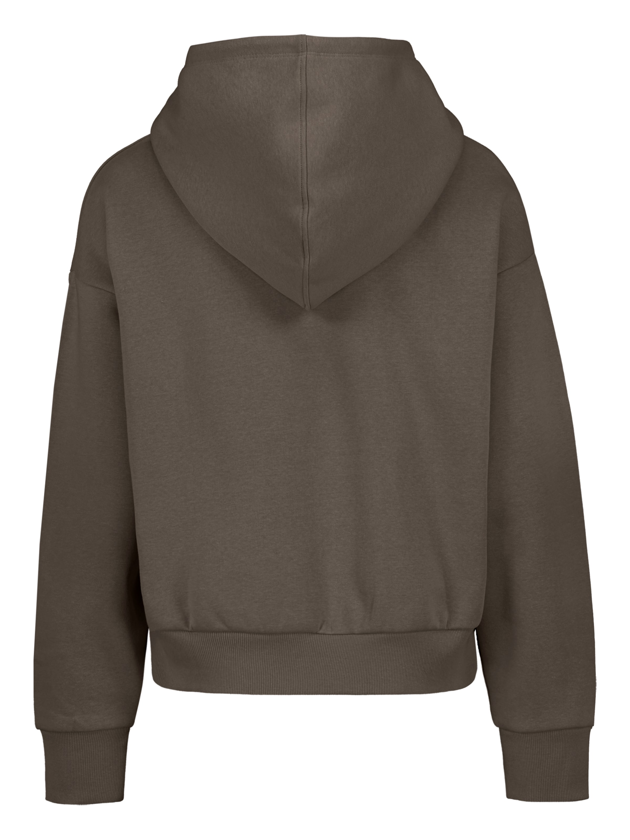 Sublevel Sweatshirt in Bruin