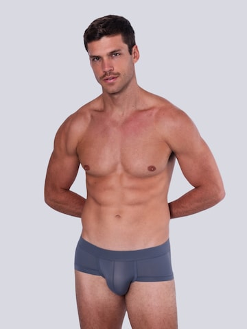 TAUWELL Panty in Grey