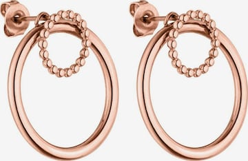 PURELEI Earrings 'Miracle' in Gold: front
