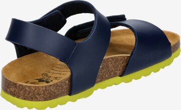 LICO Sandal in Blue