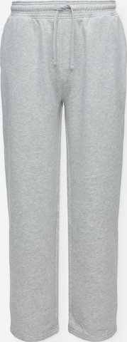 BALMOHK Wide leg Trousers in Grey: front