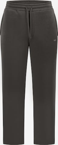 Smilodox Pants in Grey: front