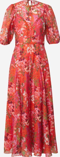 Ted Baker Haljina u zelena / roza / crvena / bijela, Pregled proizvoda