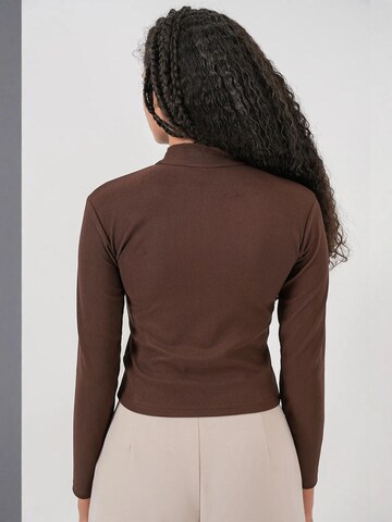 Bigdart Shirt body in Bruin