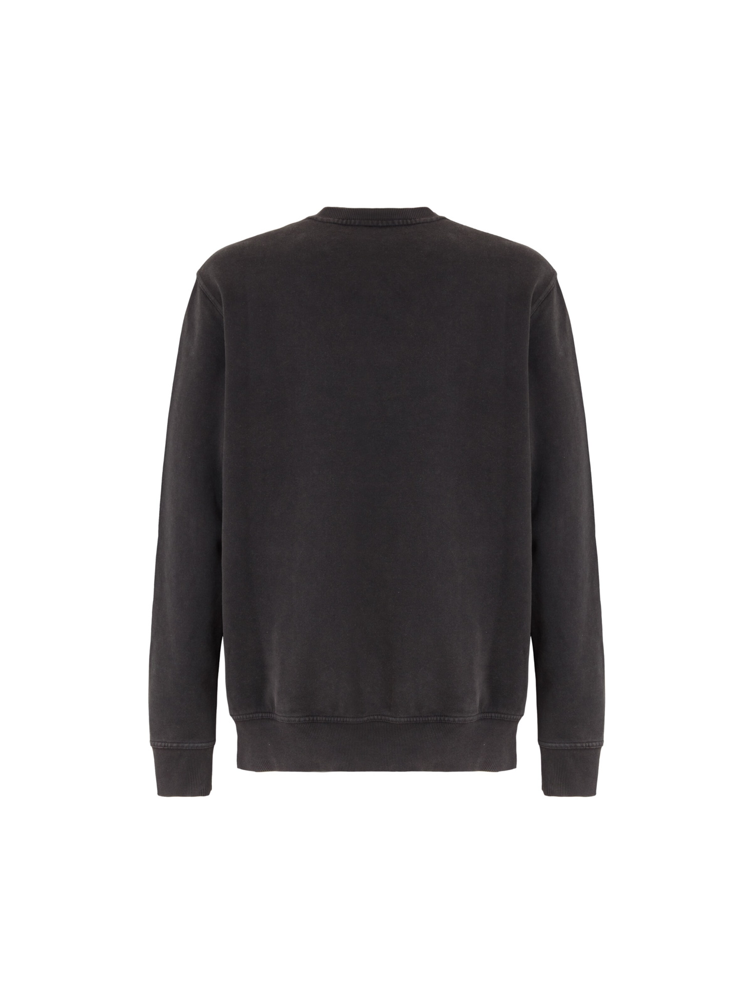 Sweat-shirt 'Plentywood' DICKIES en noir